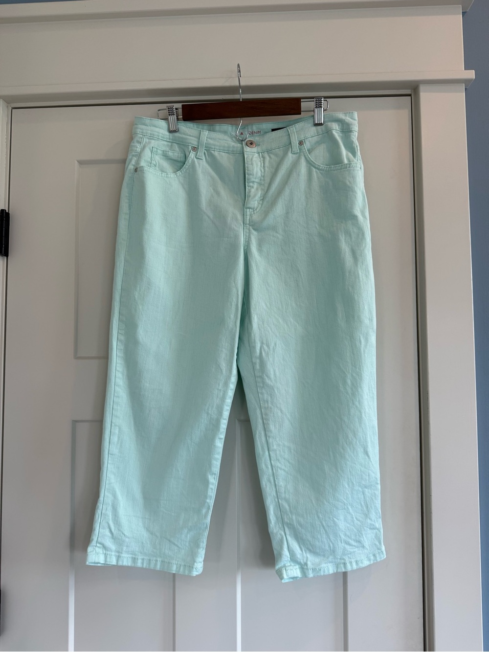 Style & Co Mint Green Cropped Jeans Casual Capri Ankle Pants 14